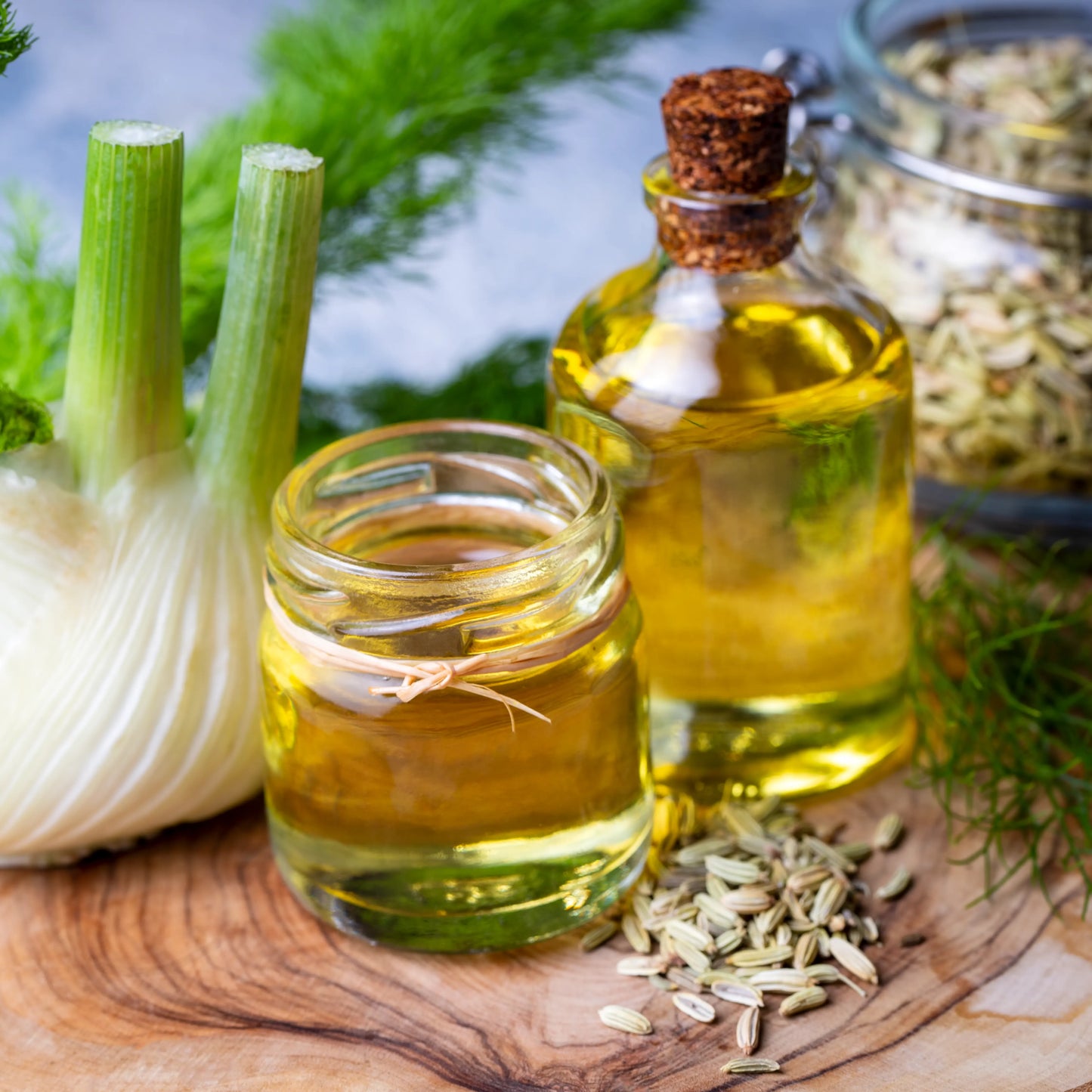 Fennel_Sweet_Oil_2