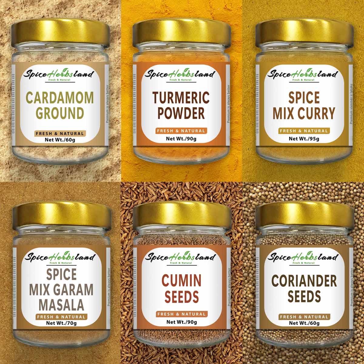 IndianSpiceSet_SHB8